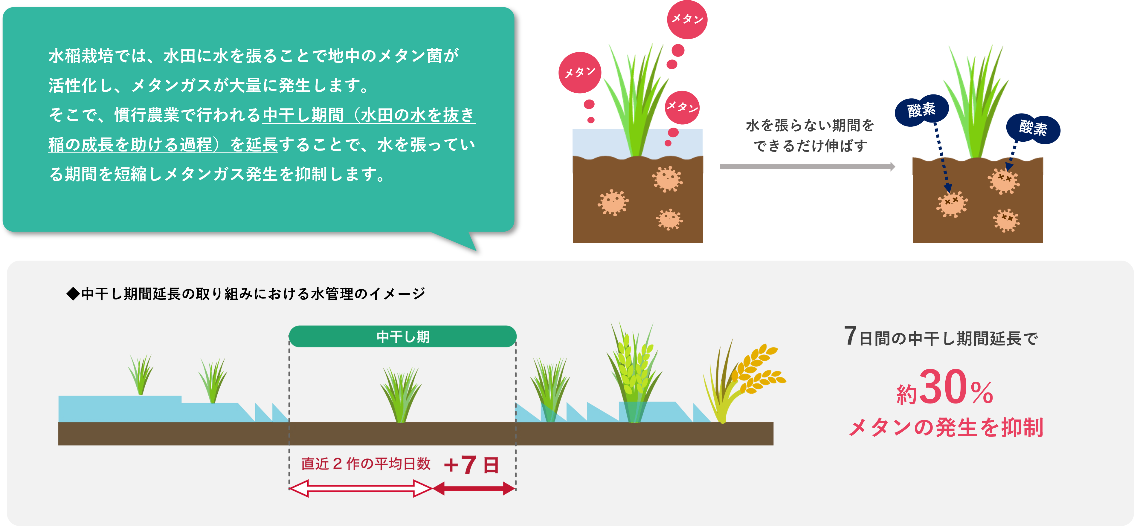 release_250610_co2-zero-stay_3.png