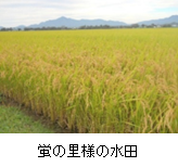 release_250610_co2-zero-stay_5.png