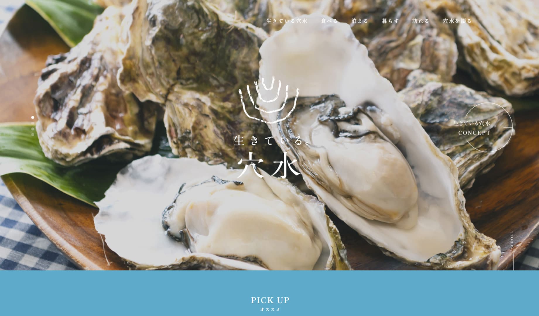 穴水町 観光アドバイザー事業